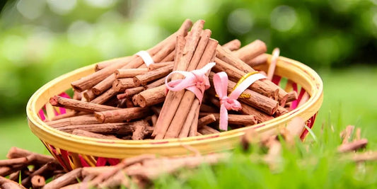 Manjistha: An Ayurvedic Secret for Radiant Health