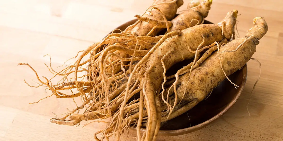 Boost Energy and Immunity with Ginseng Benefits