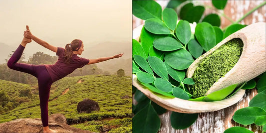Moringa Supplements for Boosting Immunity