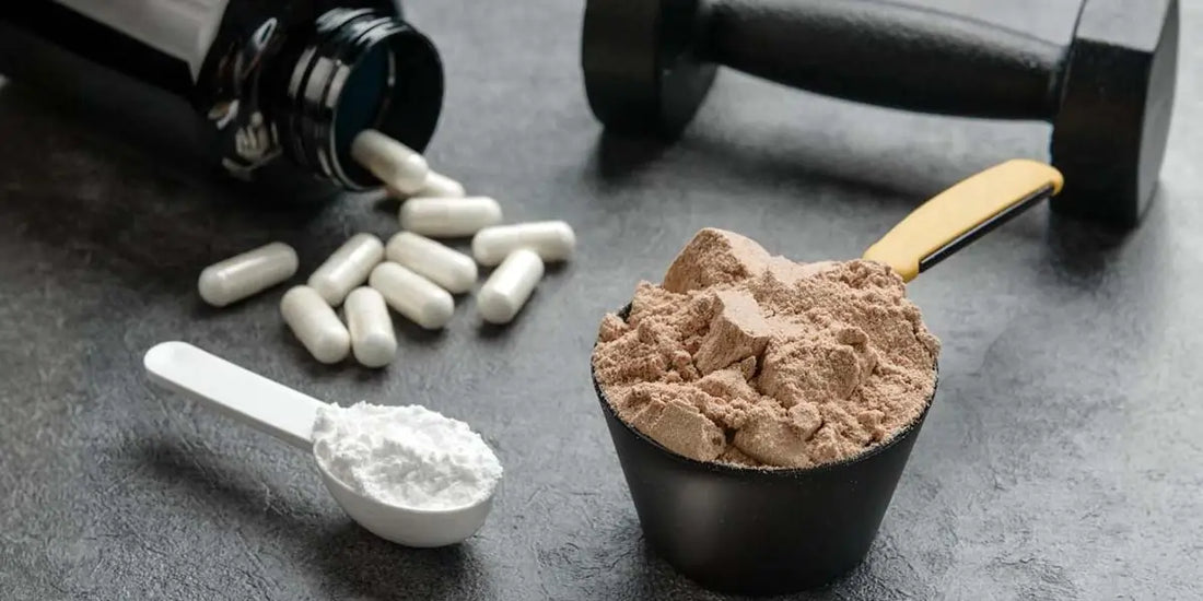 Whey Protein vs Plant Protein